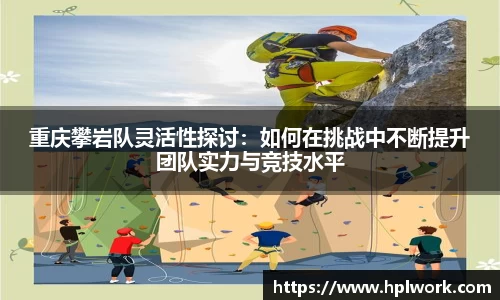 3377体育官网