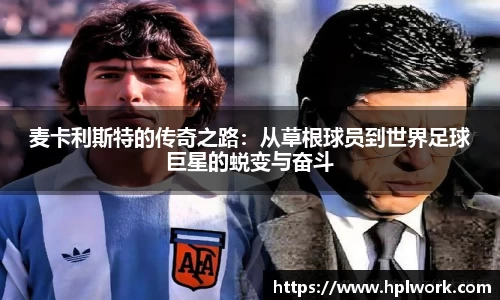 3377体育