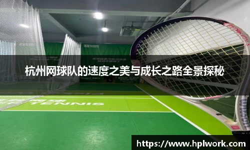 3377体育官网