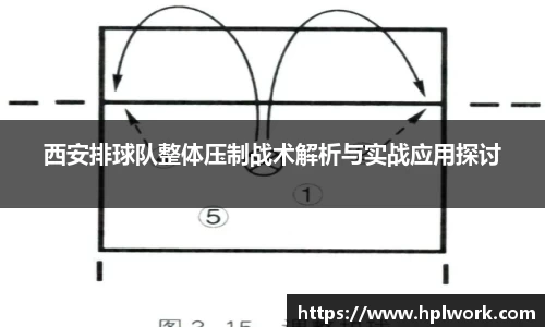 3377体育官网