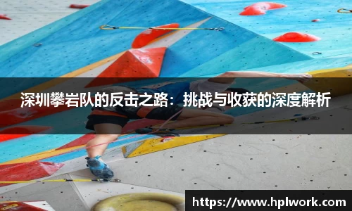 3377体育官网