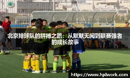 3377体育官网